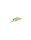 Citrus Shad