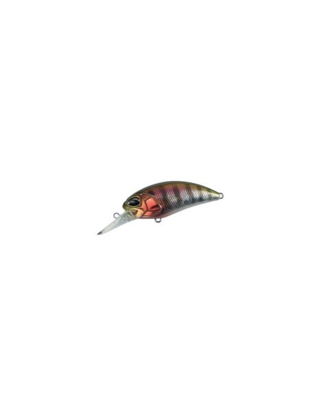 Prism Gill