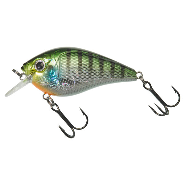 BLUE GILL GB