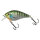 BLUE GILL GB