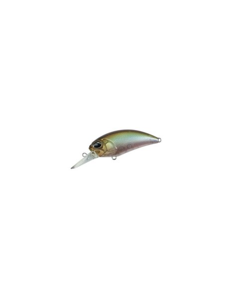 Ghost Minnow