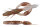 TW196 WILD LONGARMED ANT