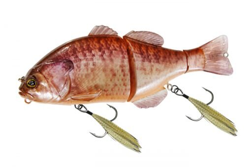 RT KAWASHIMA ALBINO GILL