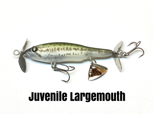 Juvenile Largemouth