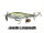 Juvenile Largemouth