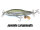 Juvenile Largemouth