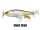 Ghost Shad