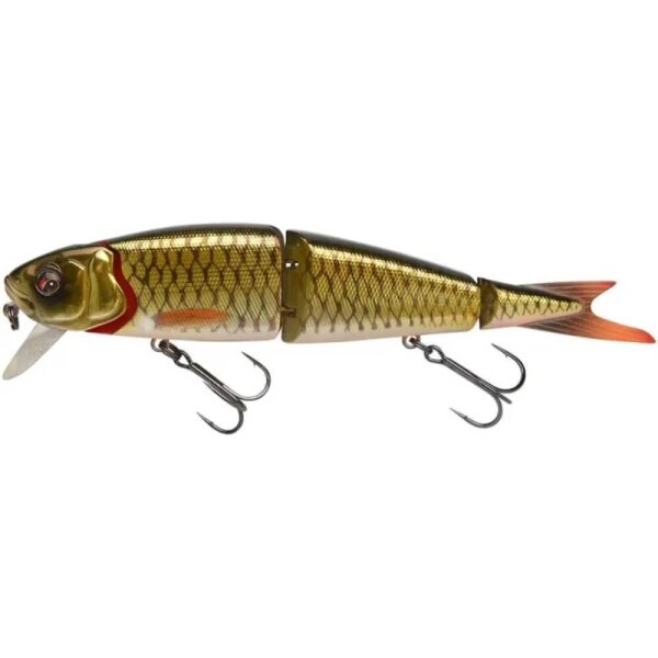 Dirty Roach
