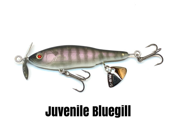 Juvenile Bluegill