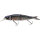 Herring