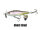 Ghost Shad