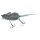 Grey Rat