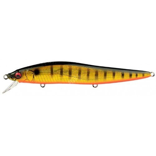 (SP-C) GG MEGAKIN GILL