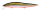 (SP-C) M RB SHAD