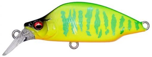 (SP-C) LIME CHART TIGER