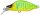 (SP-C) LIME CHART TIGER
