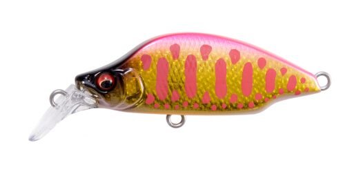 DD PINK BACK GOLD
