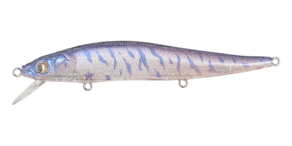 (SP-C) SB PURPLE ZEBRA