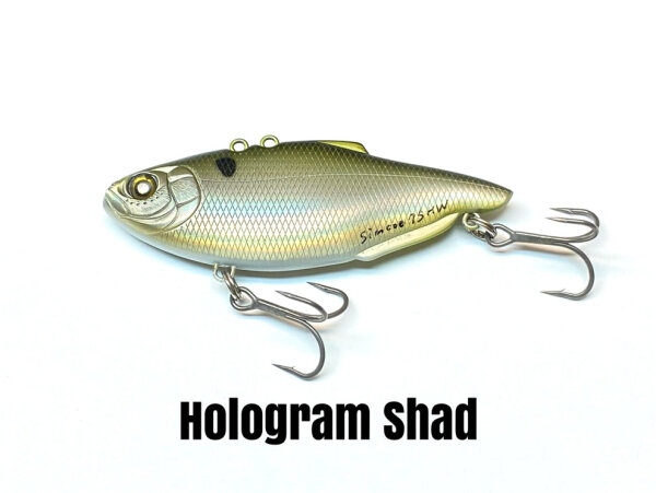 Hologram Shad #7