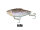 Goby #9