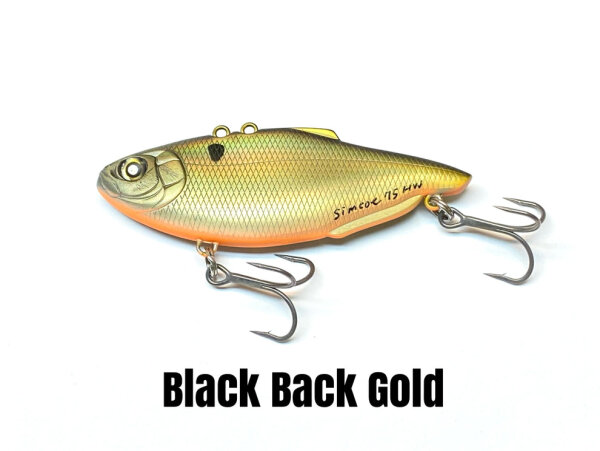 Black Back Gold #8