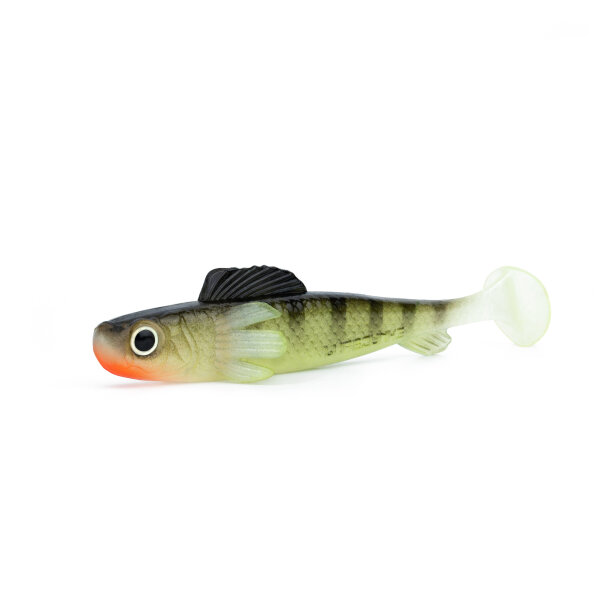 15 Ghost Perch