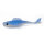 12 Baitfish