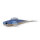 12 Baitfish