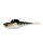 19 Little Zander