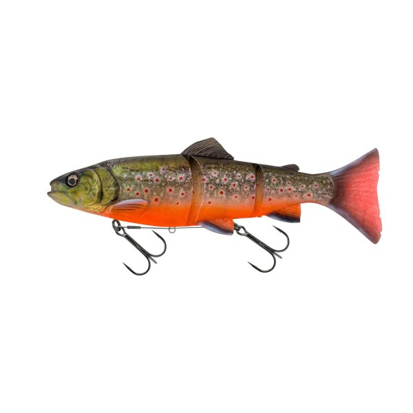 Arctic Char
