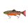 Arctic Char