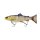 Clear Blue Trout
