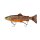Tiger Trout
