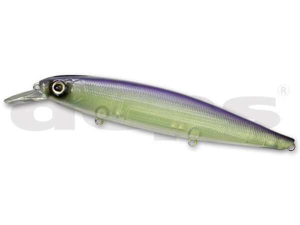 #08 Purple Shad