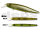 #23 Grassbelly Shiner