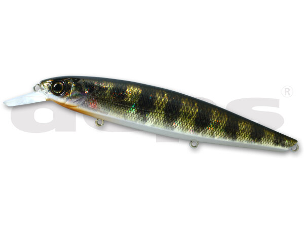 #36 Real Flash Gill