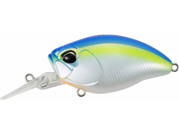 Blue Shad