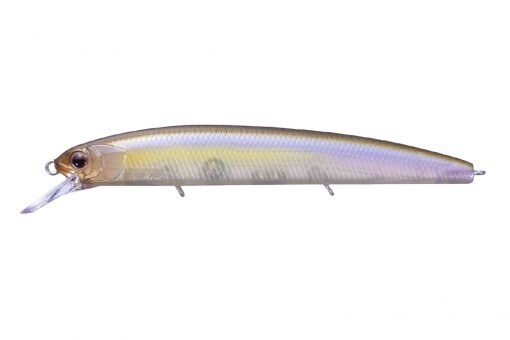 P23 Tasty Shad