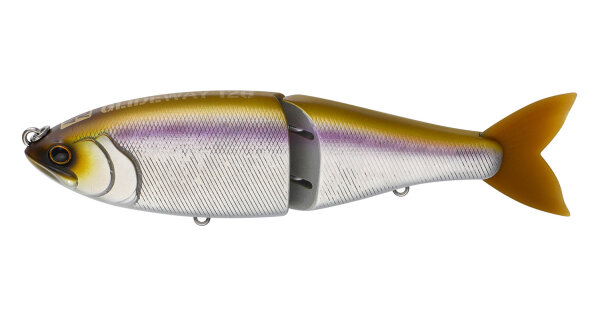 Aurora Shad