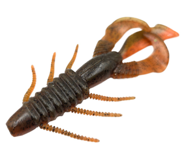 SW #5 Log Worm