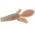 #5 Cinnamon Shrimp