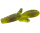 #6 Kiwi