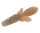 #5 Cinnamon Shrimp