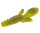#6 Kiwi