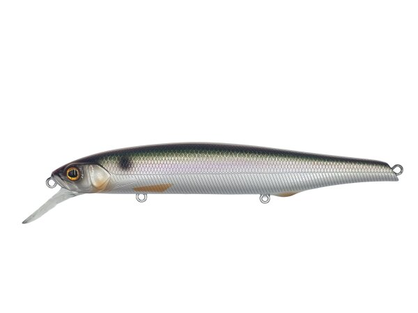 #1 Iyoken Shad