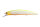 P64 Pearl/Chart Back