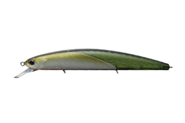C24 BS Kozakana