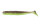 TW107 GREEN PUMPKIN / CHART
