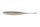 TW103 Golden Shiner