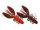 #117 BOSS CRAYFISH
